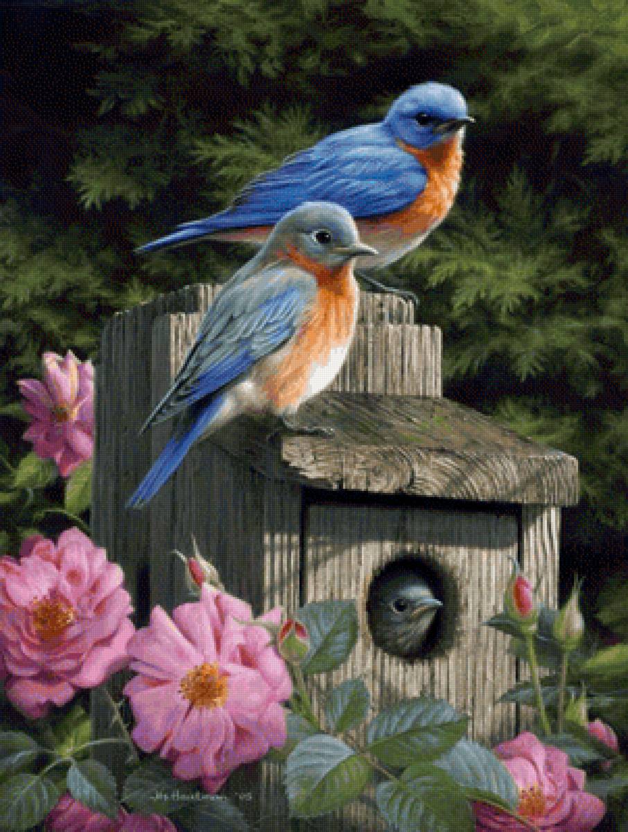 170 - ale - предпросмотр