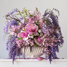 Схема вышивки «№2326631»