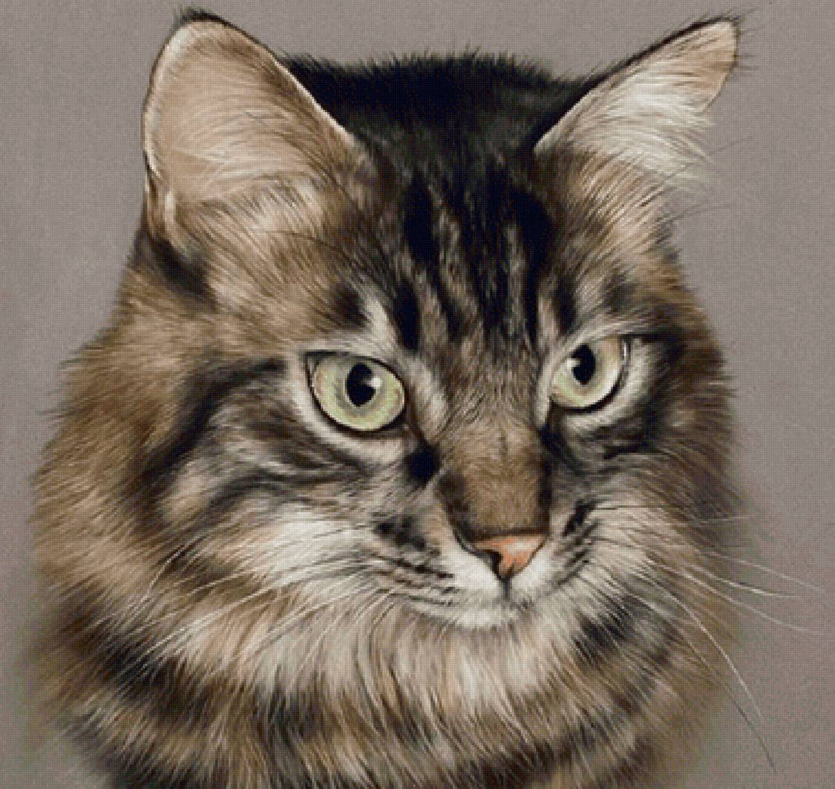 Gato. - animais. - предпросмотр