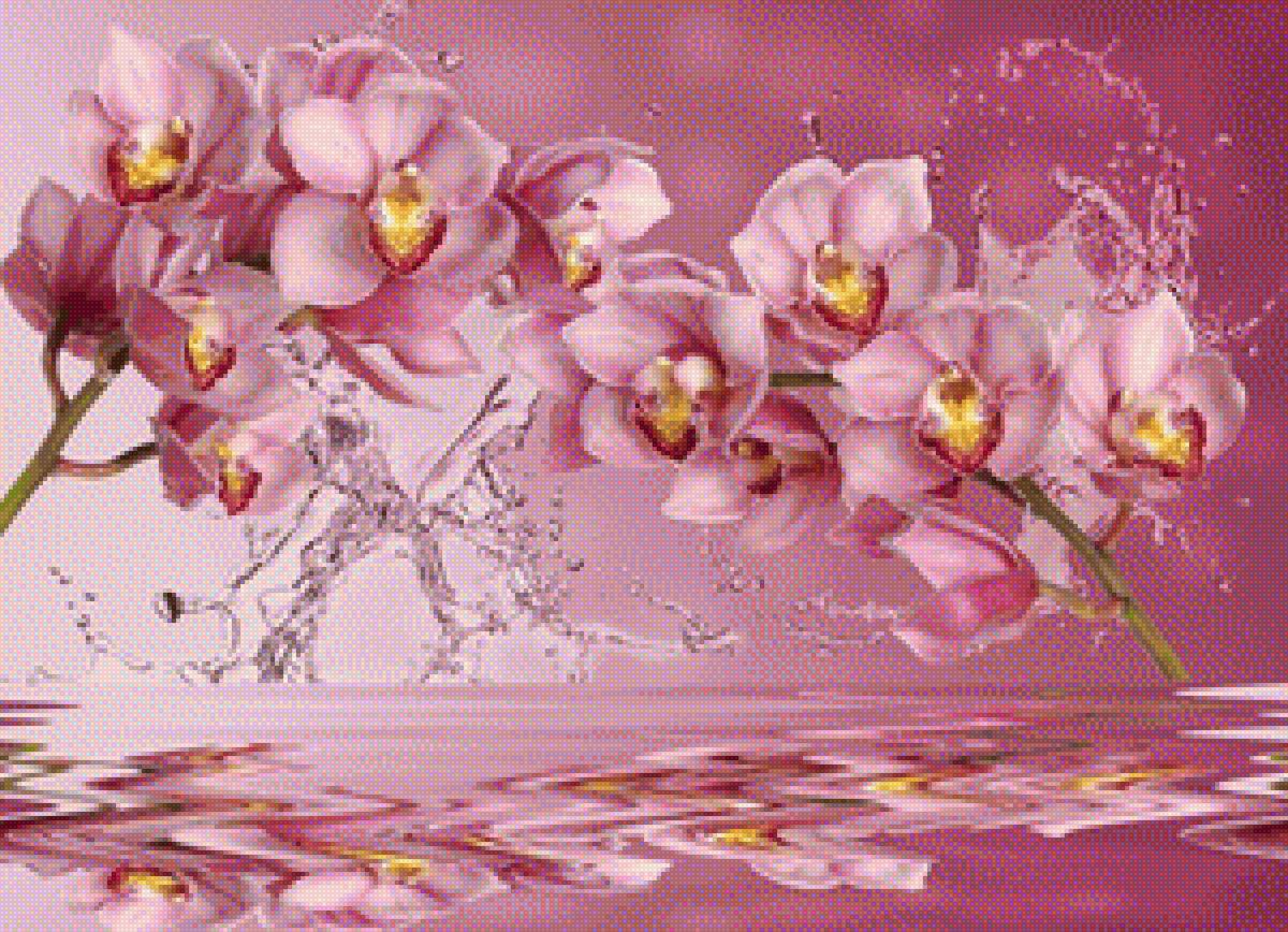 цветы - предпросмотр