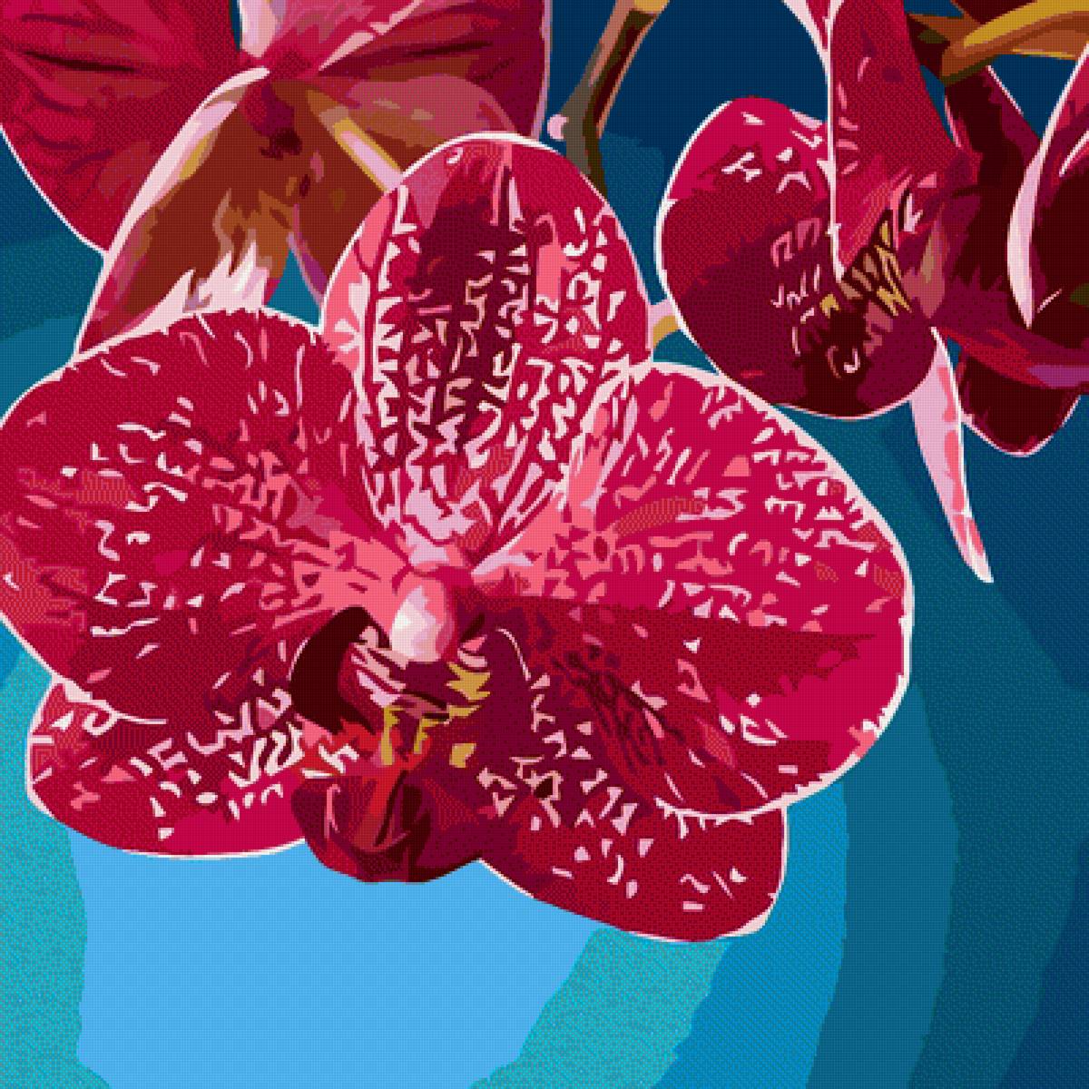 №2327084 - цветы - предпросмотр