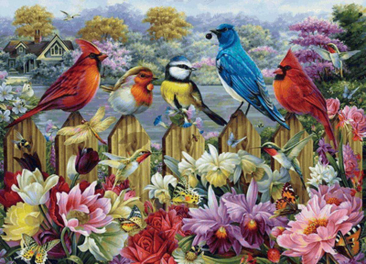 Pássaros . - pássaros., flores.casa - предпросмотр