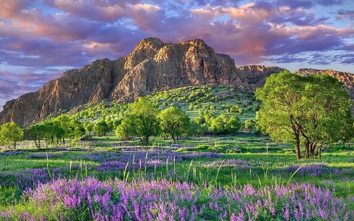 Paisagem. - flores.montanhas.paisagens. - оригинал