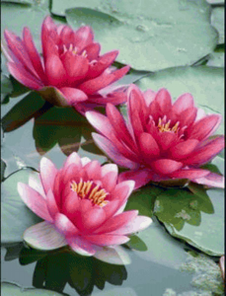 №2327126 - предпросмотр