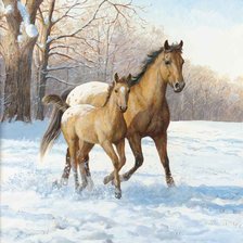 Схема вышивки «№2327186»