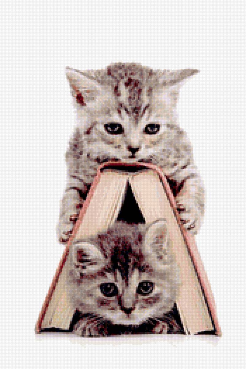 Будем учиться! - книга, котята - предпросмотр