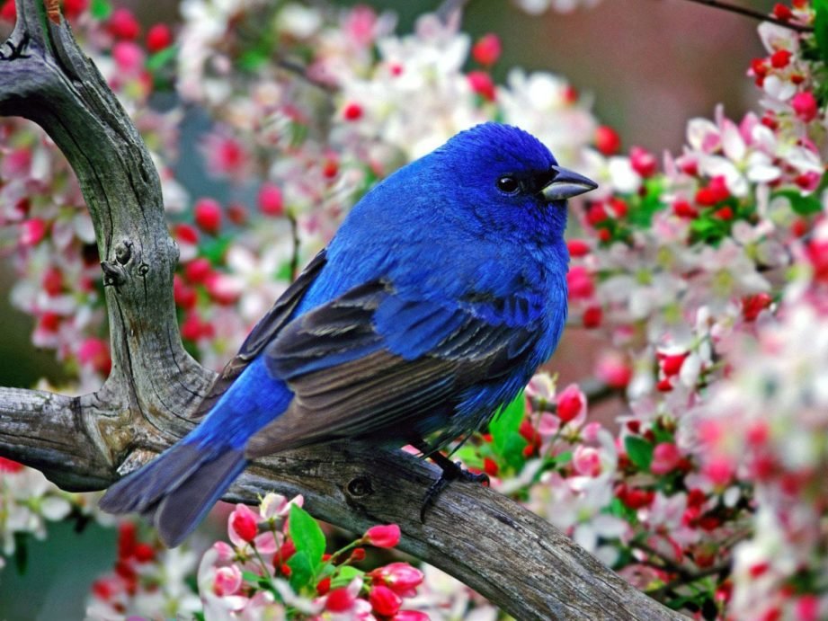 №2327458 - оригинал