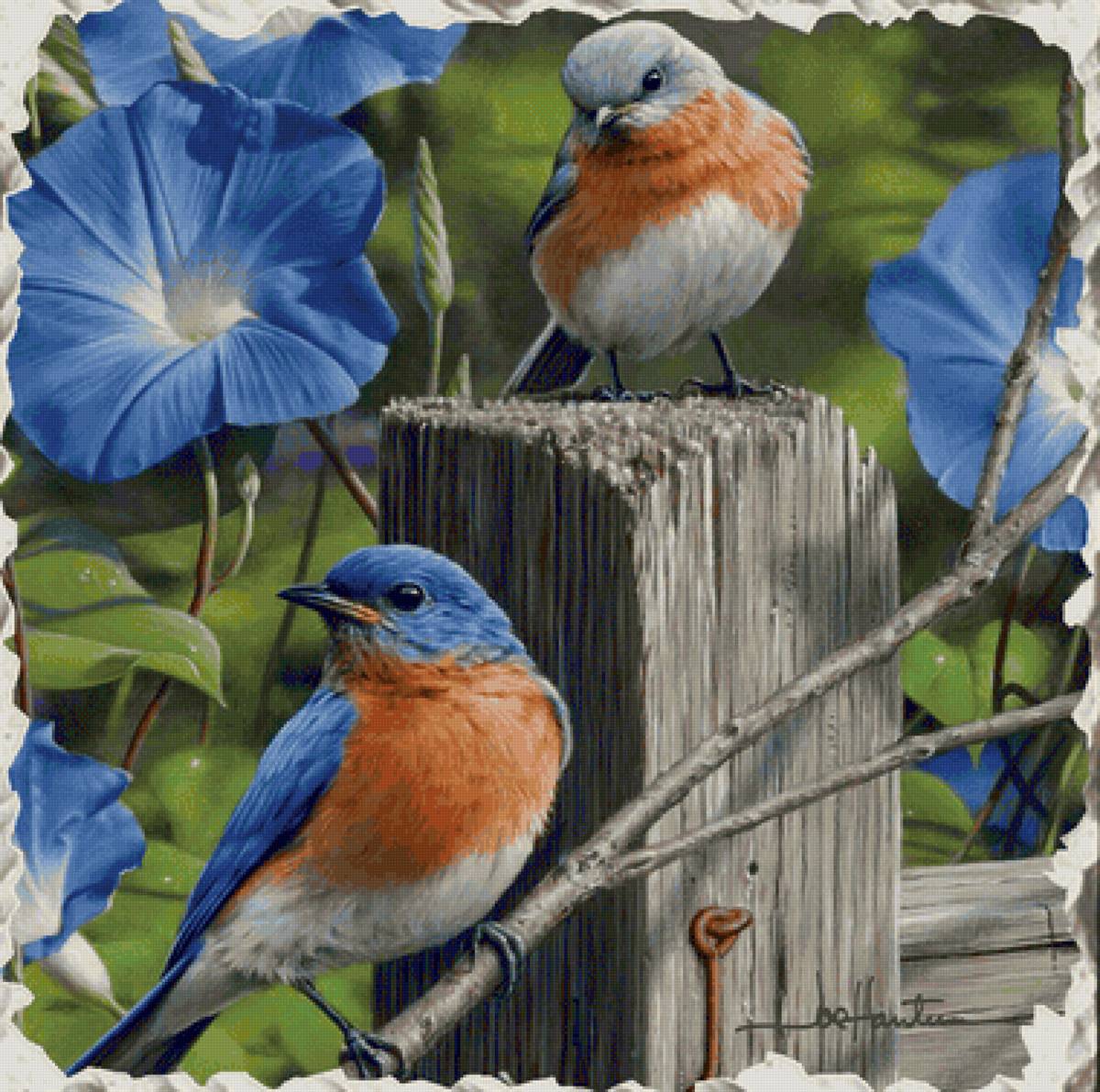 Pássaros. - pássaro, flores. - предпросмотр