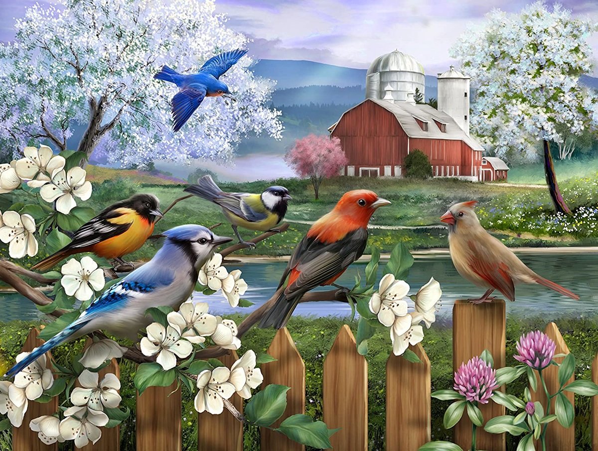 Pássaros. - pássaros, flores.sitio - оригинал