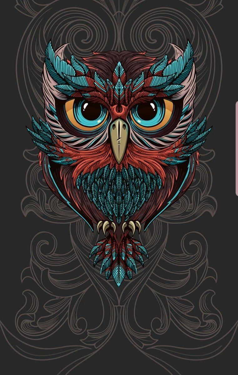 Coruja. - pintura .ilustração., pássaro - оригинал