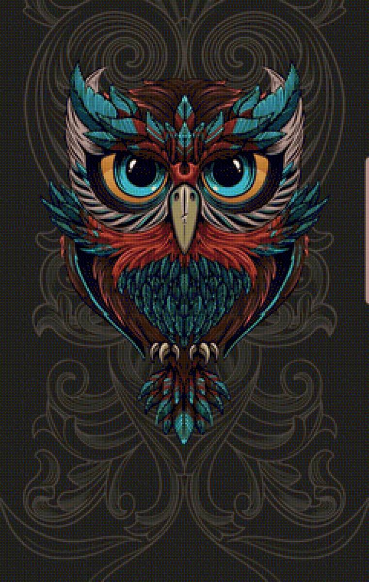 Coruja. - pássaro, pintura .ilustração. - предпросмотр
