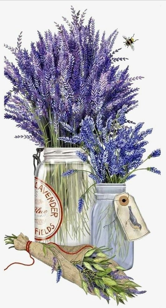 Лаванда - оригинал