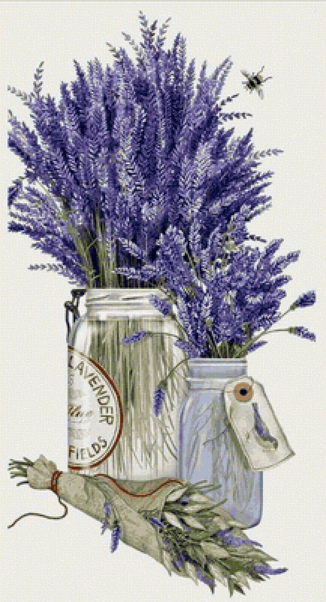 Лаванда - предпросмотр