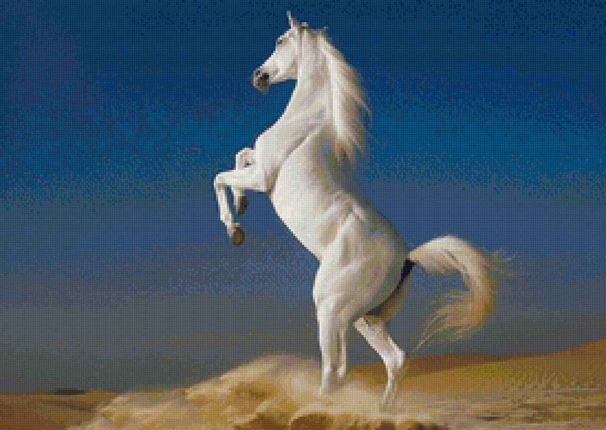 Конь на песке - конь, пустыня, песок - предпросмотр