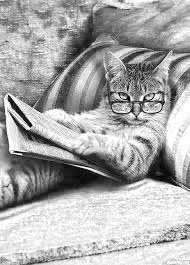 Читающий котяра - очики, газета, кот, диван - оригинал