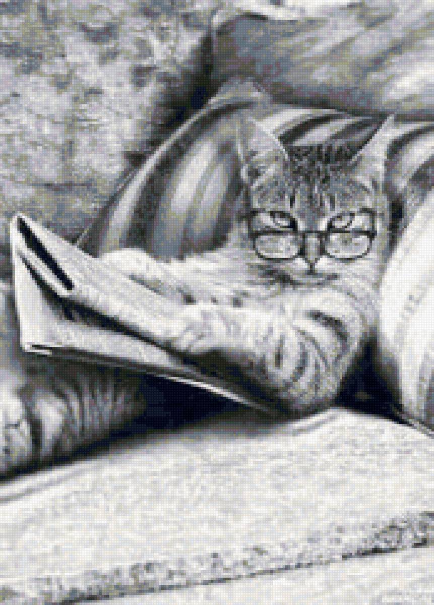 Читающий котяра - газета, кот, диван, очики - предпросмотр