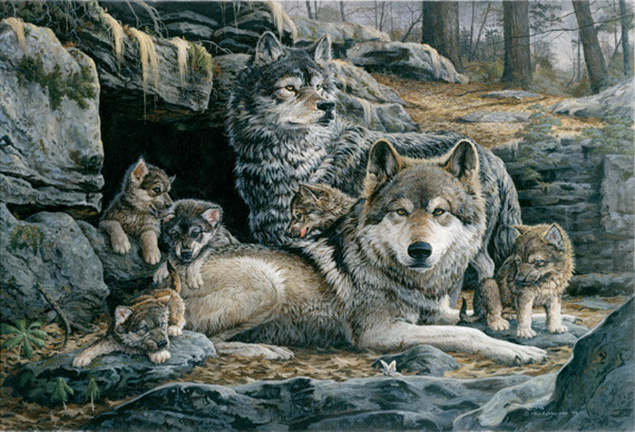 Семья - семья, волчата, пара, волки - оригинал