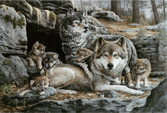 Волки - пара, семья, волки, лес, волчата - оригинал