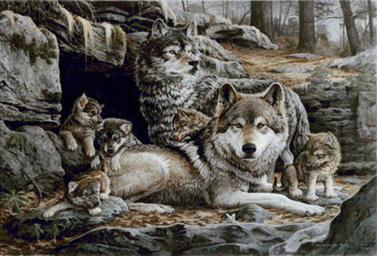 Волки - волчата, семья, лес, волки, пара - предпросмотр