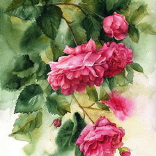 Схема вышивки «Розы»