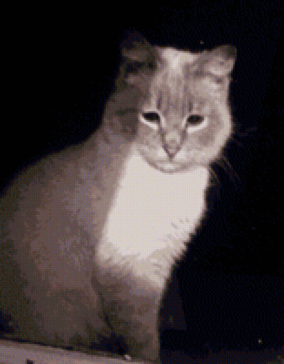 4674346 - предпросмотр