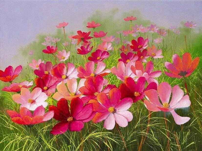 цветы - цветы, лето - оригинал