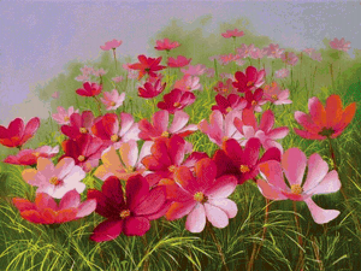 цветы - цветы, лето - предпросмотр