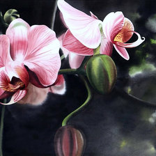 Схема вышивки «Орхидея»