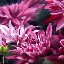 Схема вышивки «Цветы»