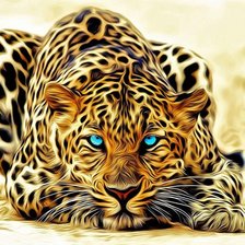 Ягуар с голубыми глазами