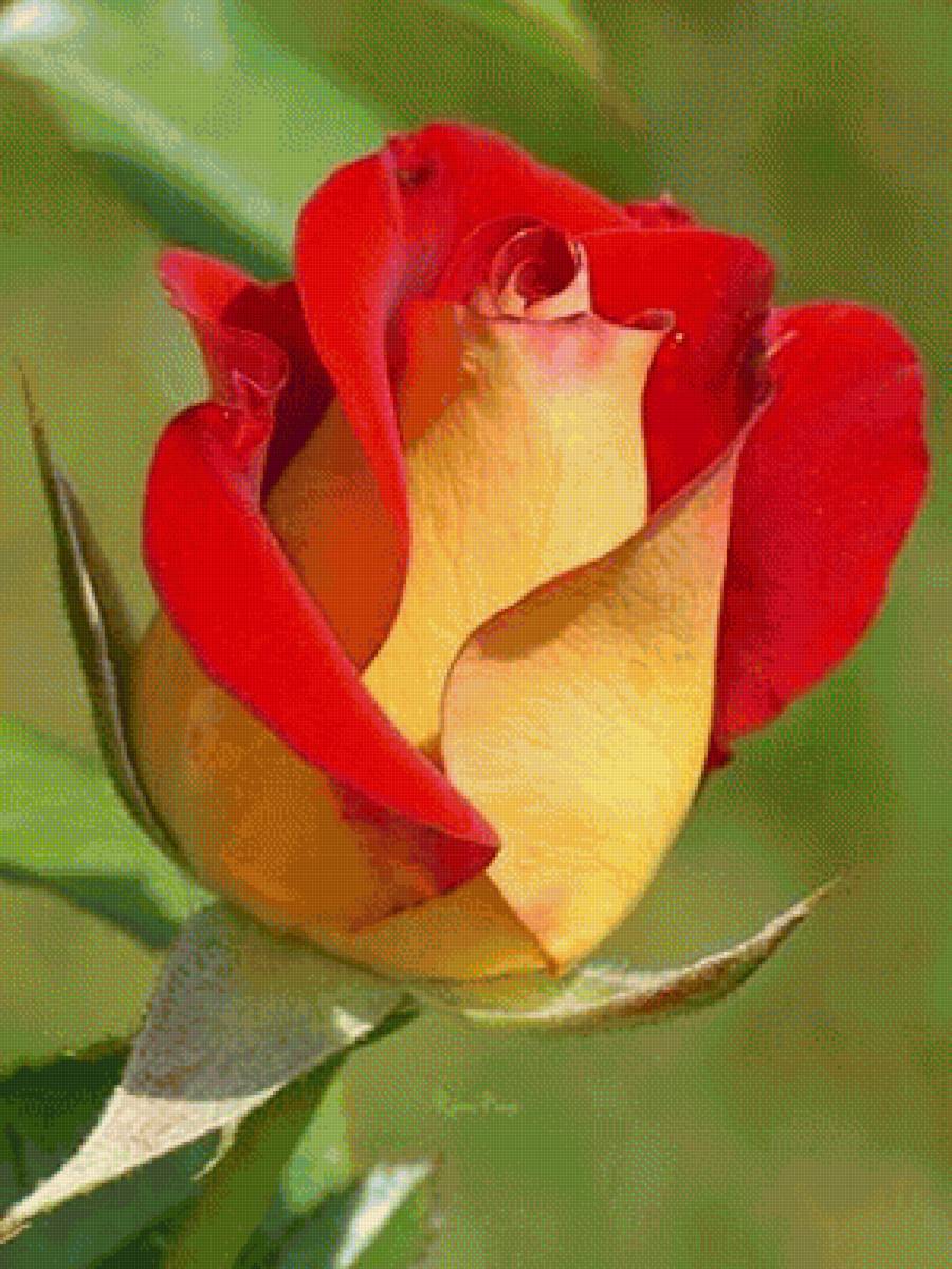 №2328978 - предпросмотр