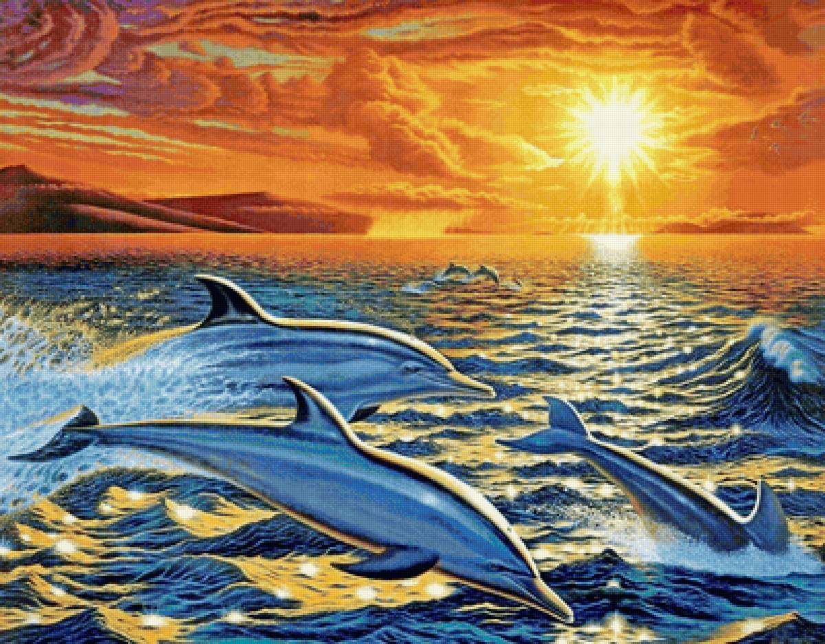 Дельфины - предпросмотр