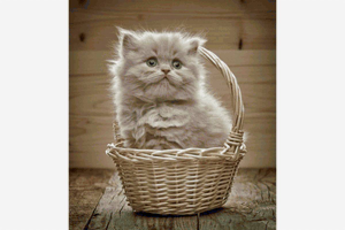 кот - предпросмотр