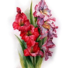 Схема вышивки «Гладиолусы»