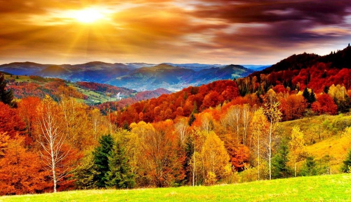 Paisagem. - montanhas.paisagens.floresta. - оригинал