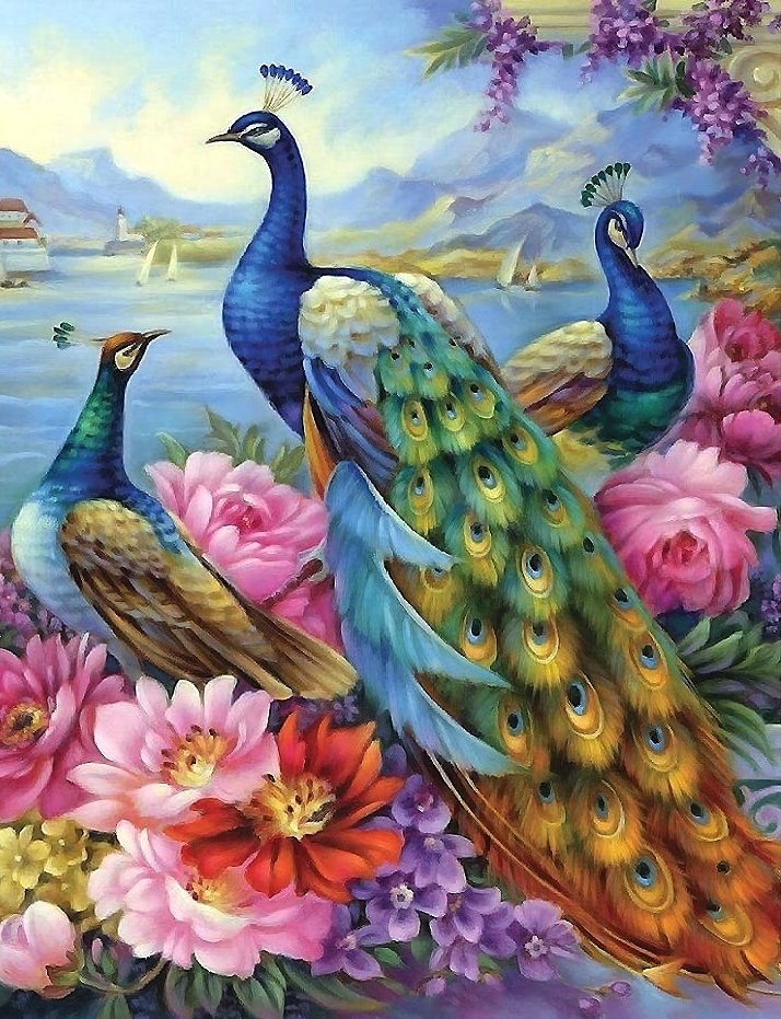 павлины - птицы - оригинал