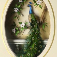 Схема вышивки «paun»