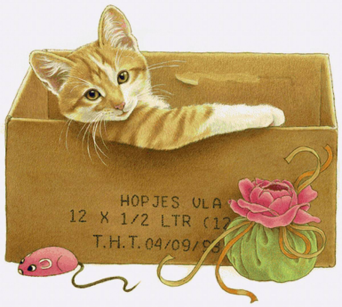 №2329563 - рыжий кот - предпросмотр