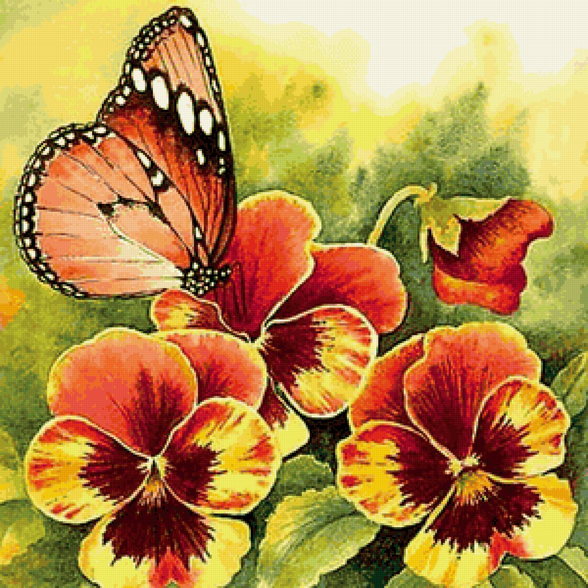 Анютины глазки - цветы, лето., анютины глазки, бабочка - предпросмотр