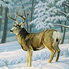 Схема вышивки «№2330108»