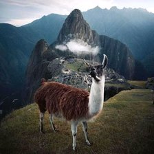 PERU