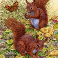 Схема вышивки «Esquilos.»