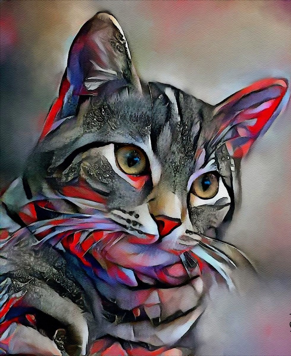 Gato. - animais.pintura. - оригинал
