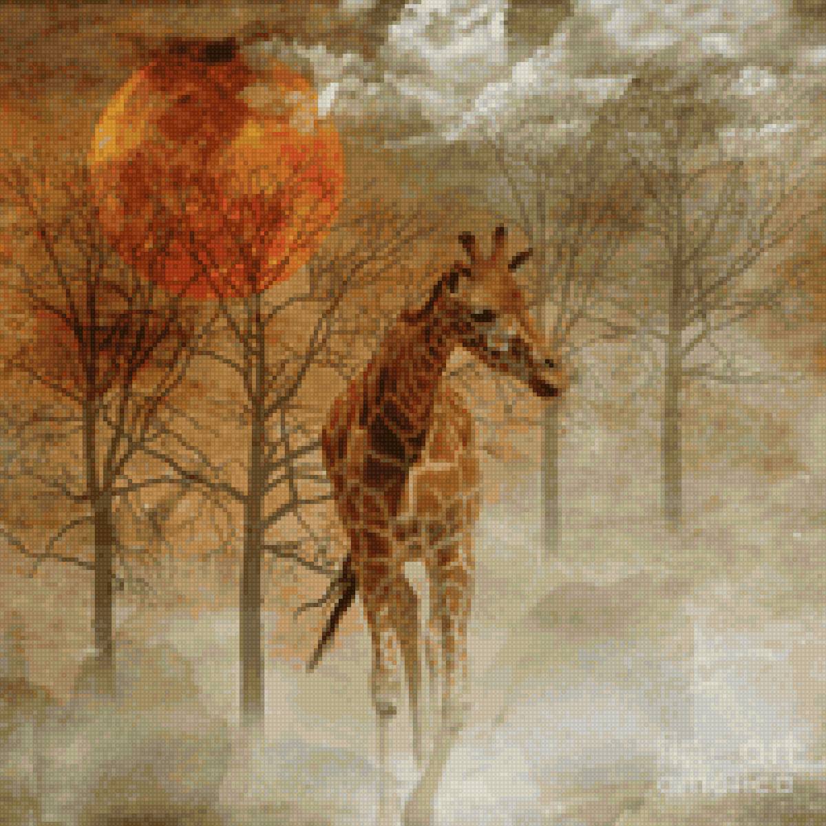 Africa - giraffe, africa - предпросмотр