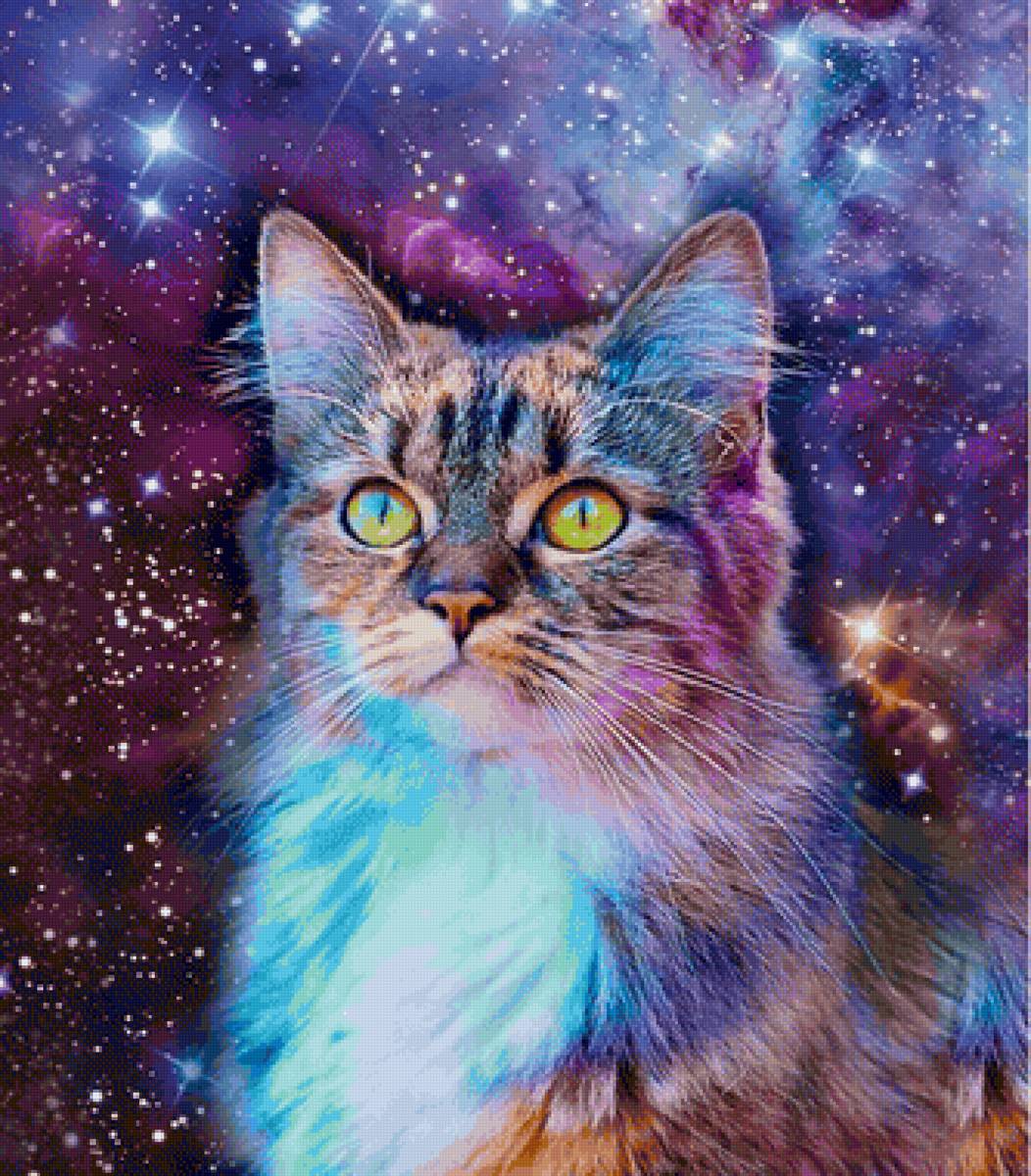 Gato. - animais.pintura. - предпросмотр