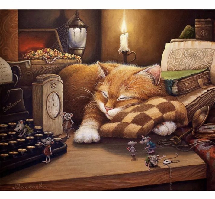 Gat a la biblioteca - gat - оригинал