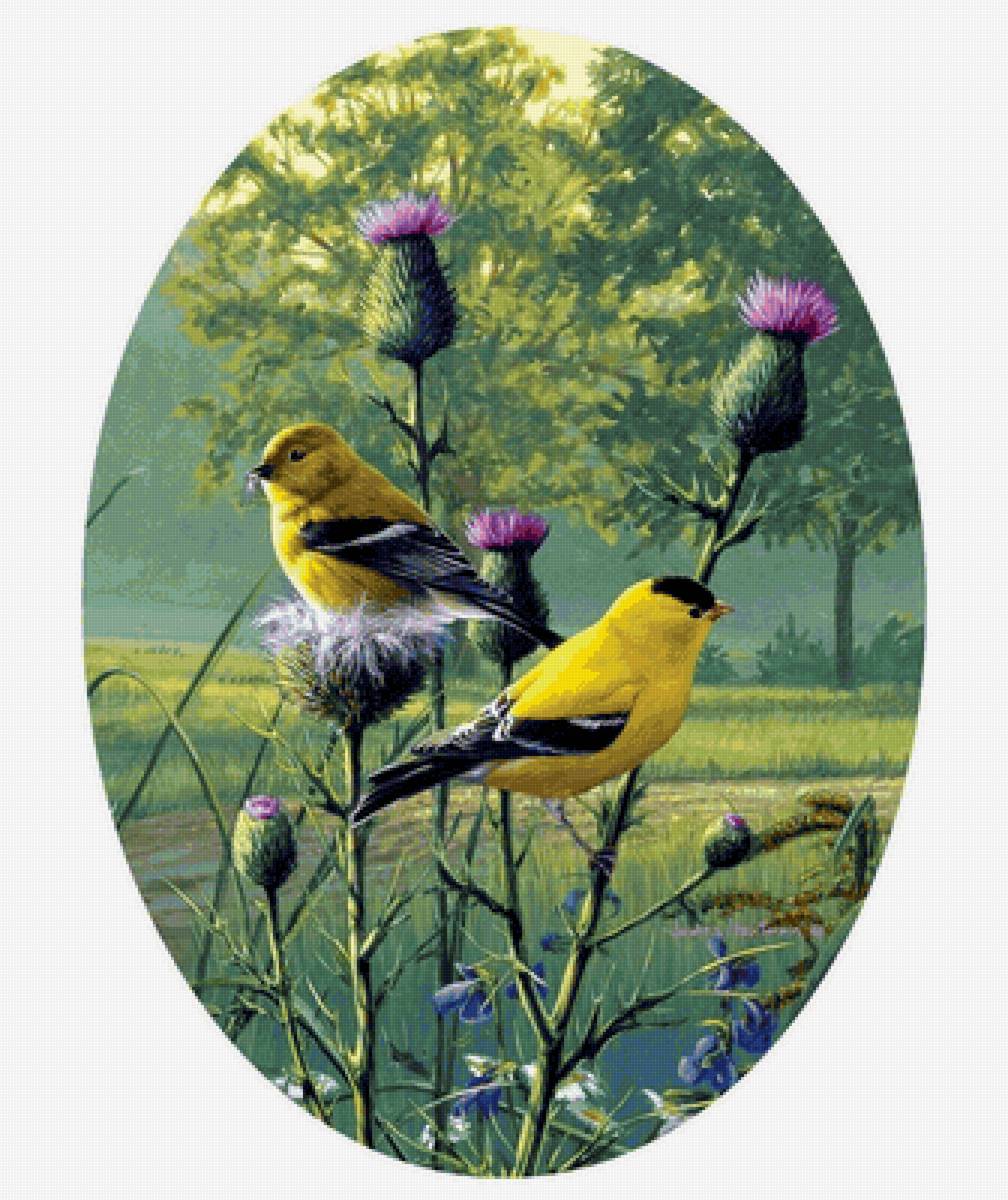 Птички на ветке - предпросмотр