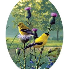 Оригинал схемы вышивки «Птички на ветке» (№2331695)