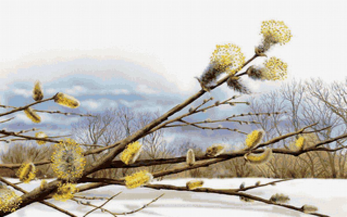 Белой вербе  ... - верба, природа, зима - предпросмотр