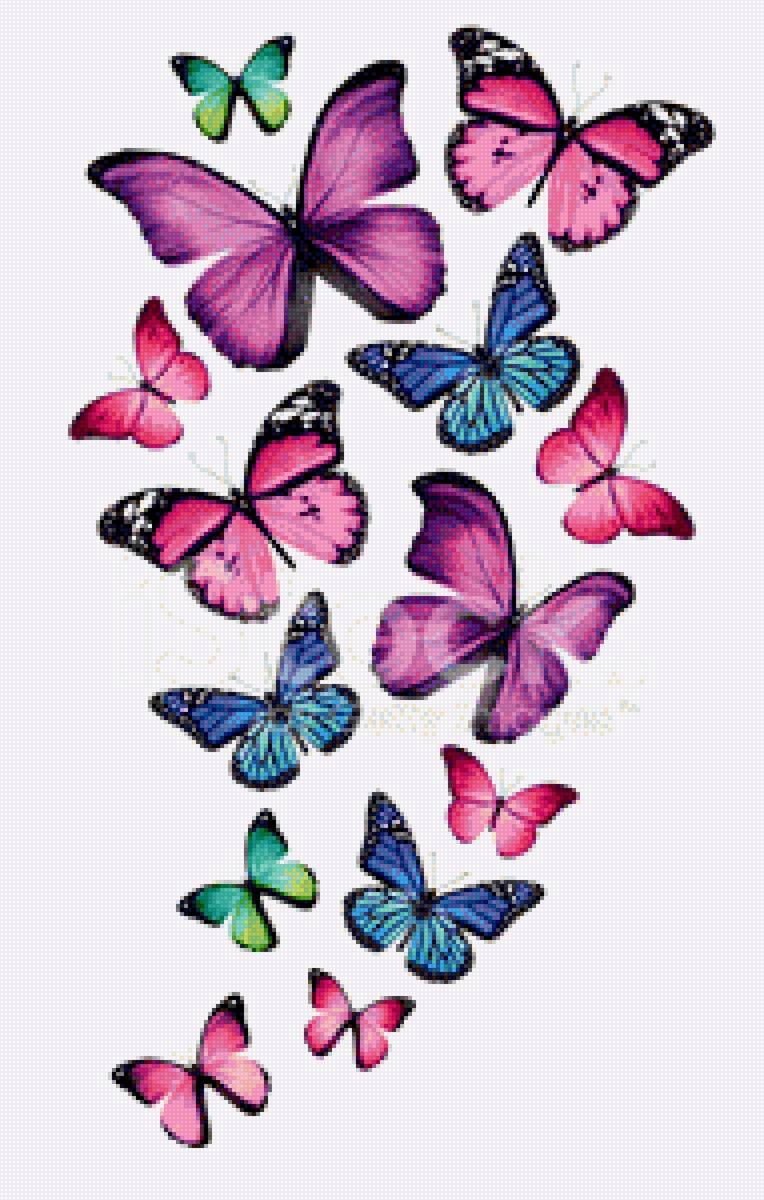 бабочки - бабочка, фауна - предпросмотр